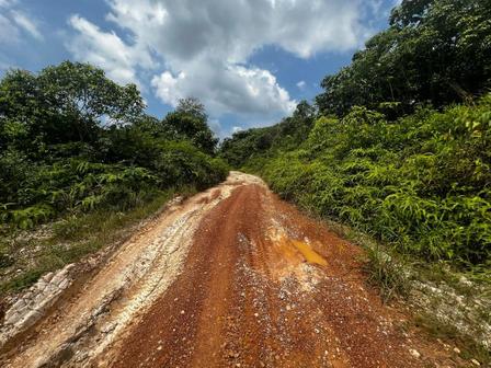 Agricultural Land For Sale in Kota Tinggi Johor