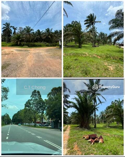 Agricultural Land For Sale in Kluang Johor