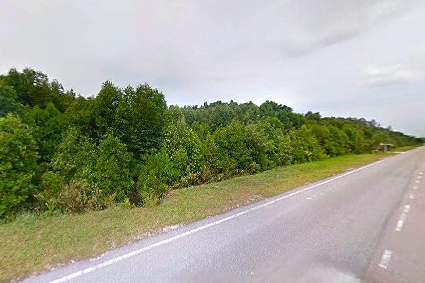 Industrial Land For Sale in Gelang Patah Johor