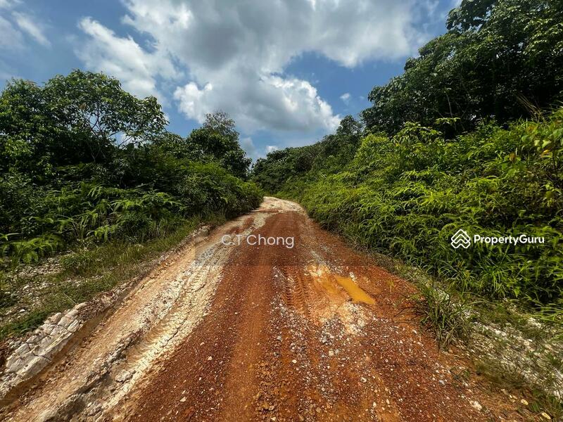 Agricultural Land For Sale in Kota Tinggi Johor