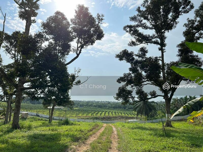 Agricultural Land For Sale in Ulu Tiram Johor