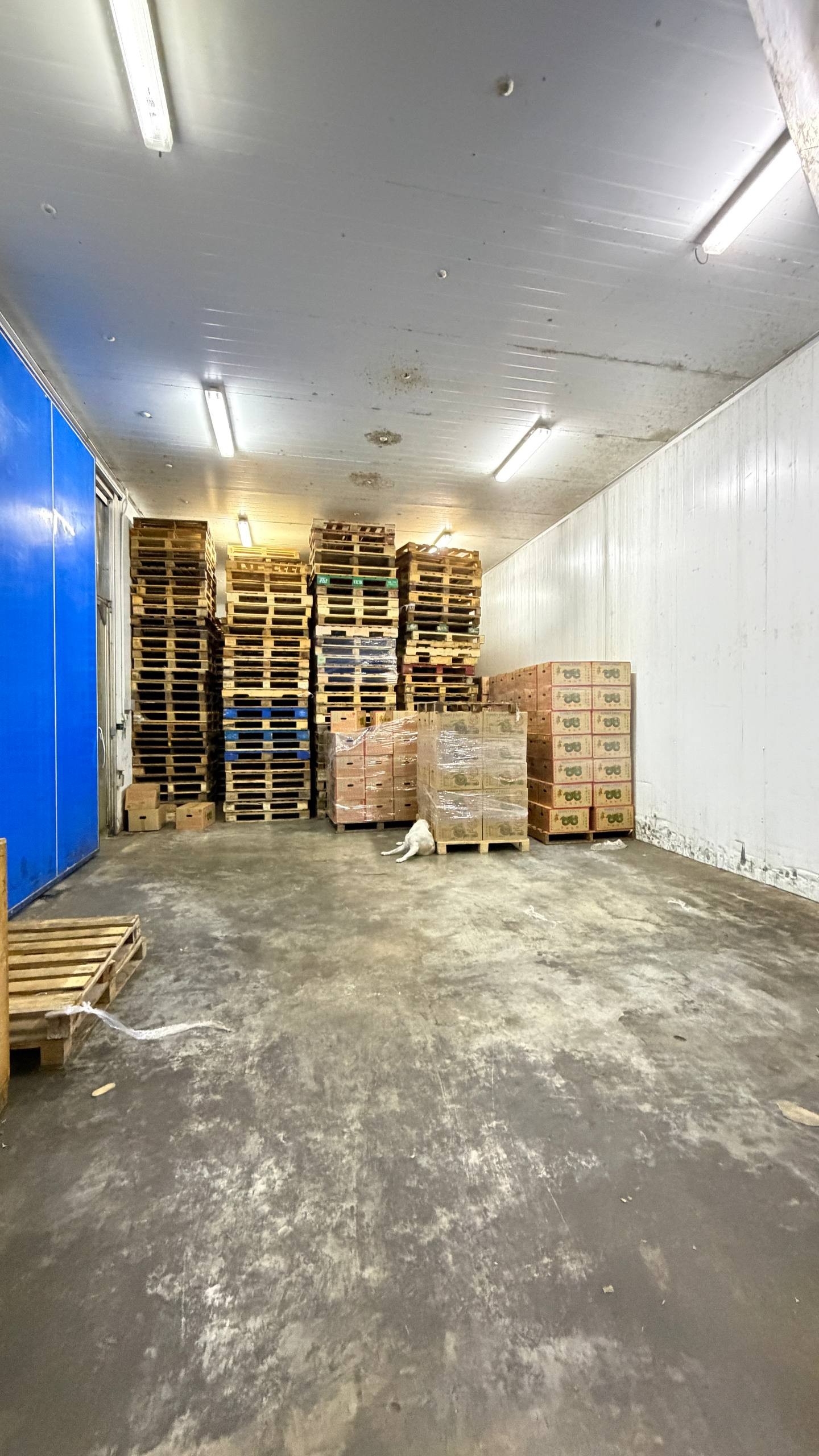 Detached Factory For Sale in Skudai Johor - Image 6