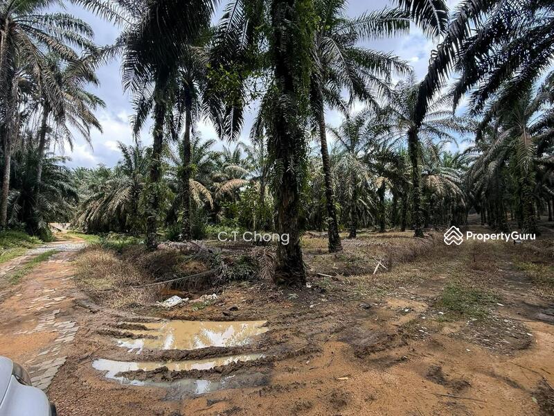 Industrial Land For Sale in Senai Johor