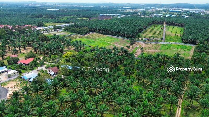 Agricultural Land For Sale in Simpang Renggam Johor