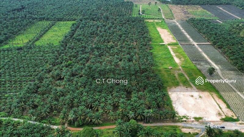 Agricultural Land For Sale in Simpang Renggam Johor