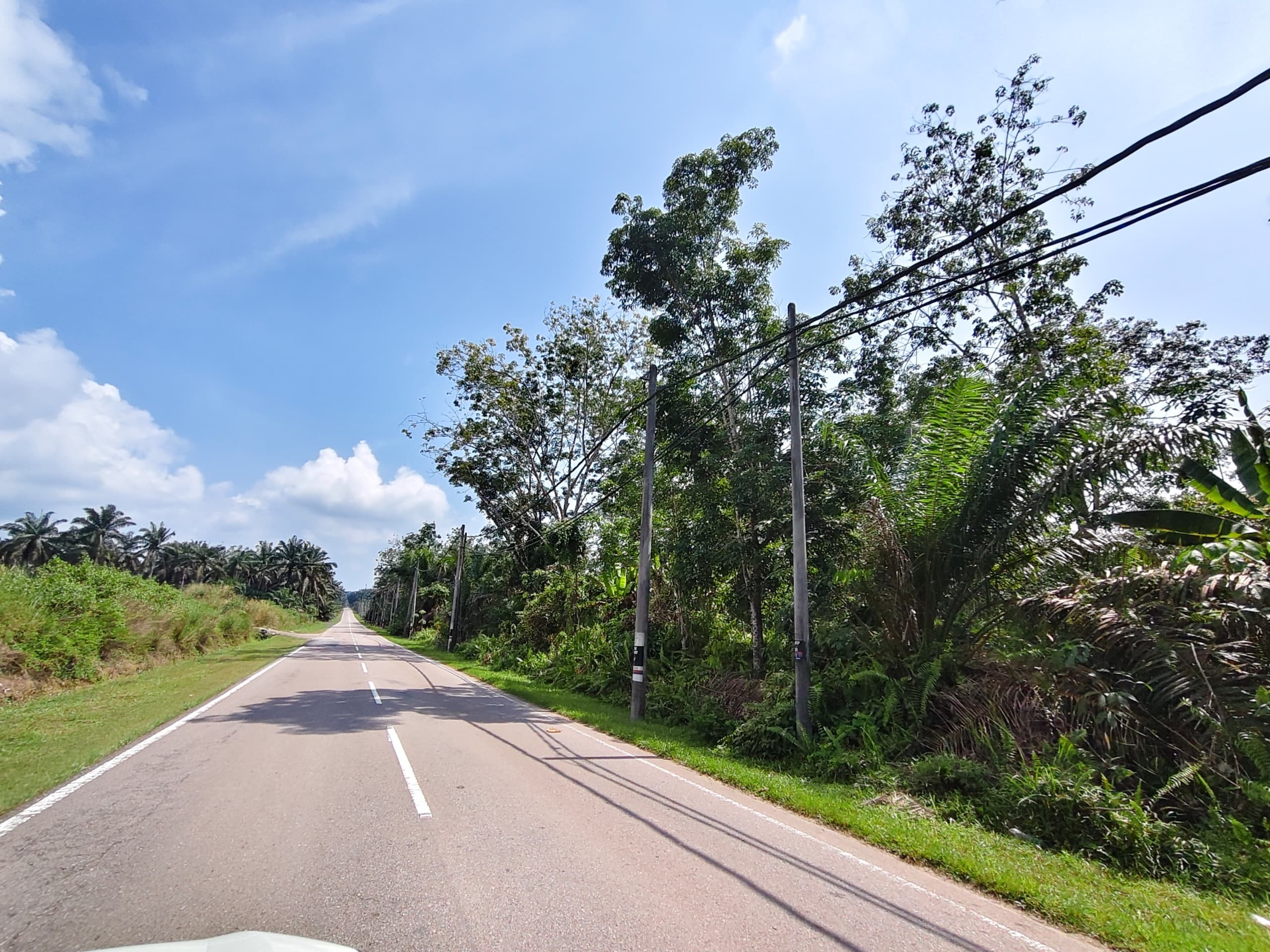 Agricultural Land For Sale in Kluang Johor - Image 4