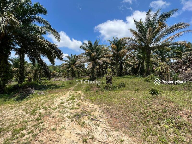 Agricultural Land For Sale in Kota Tinggi Johor