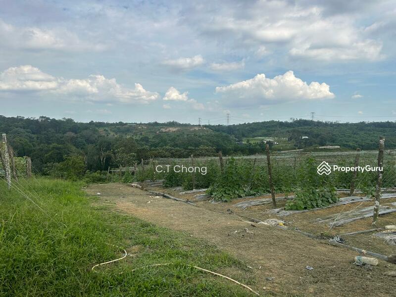 Industrial Land For Sale in Kota Tinggi Johor