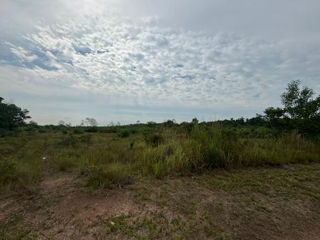 Agricultural Land For Sale in Senai Johor