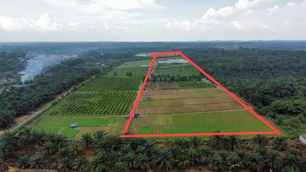 Agricultural Land For Sale in Ulu Tiram Johor