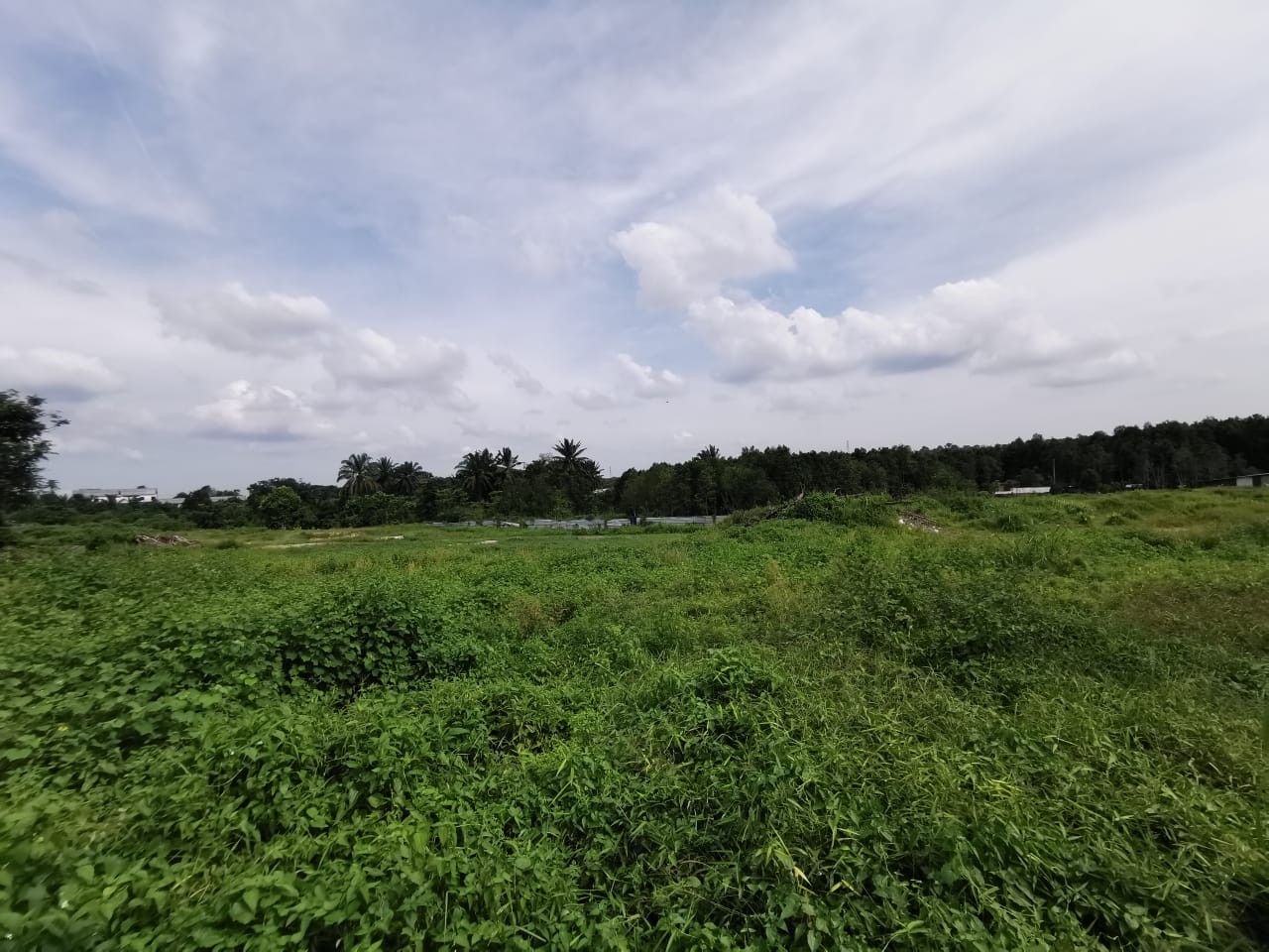 Senai Saleng - Zoning Industrial Land for Sale or Rent
