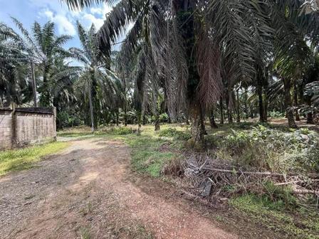 Agricultural Land For Sale in Ulu Tiram Johor