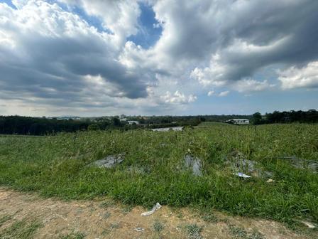 Industrial Land For Sale in Kota Tinggi Johor