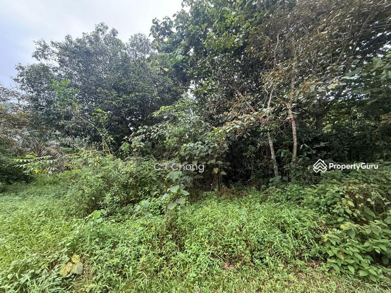 Industrial Land For Sale in Kota Tinggi Johor