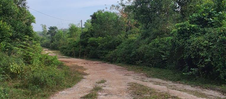 Agricultural Land For Sale in Mantin Negeri Sembilan