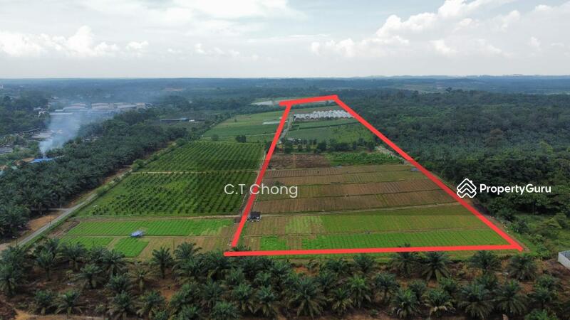 Agricultural Land For Sale in Ulu Tiram Johor