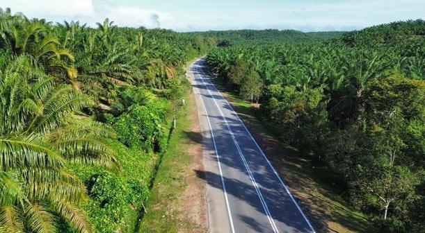 Agricultural Land For Sale in Kulai Johor