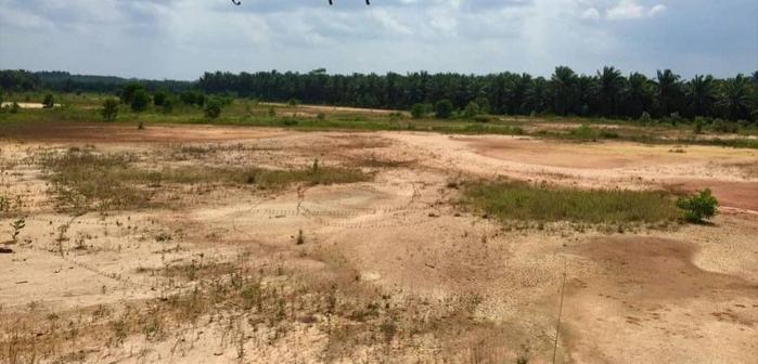 Industrial Land For Sale in Pasir Gudang Johor - Image 2