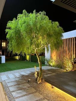 Semi-detached House For Sale in Iskandar Puteri (Nusajaya) Johor - Image 11