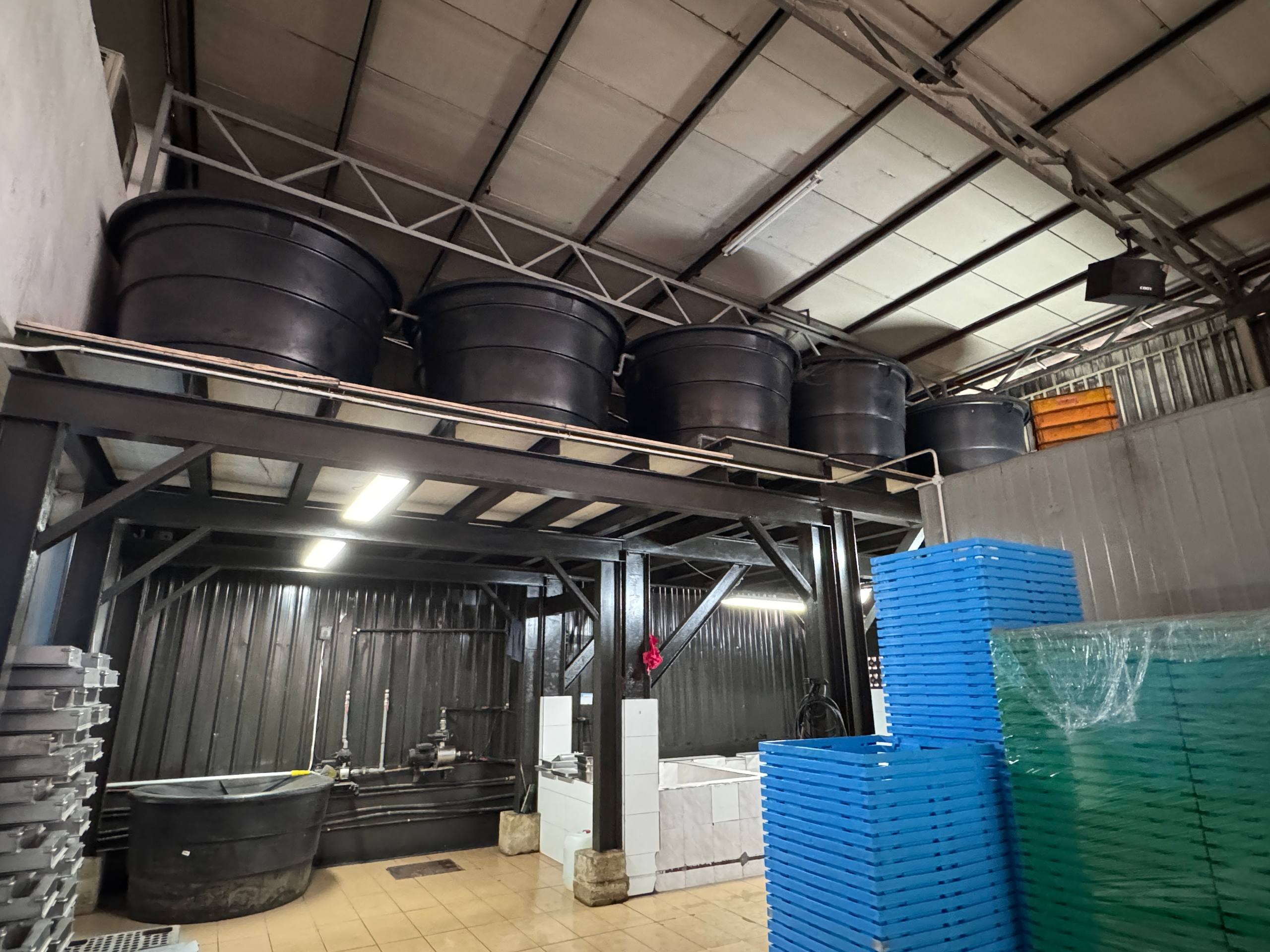 Factory For Sale in Skudai Johor - Image 7